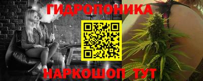 гашик Сланцы